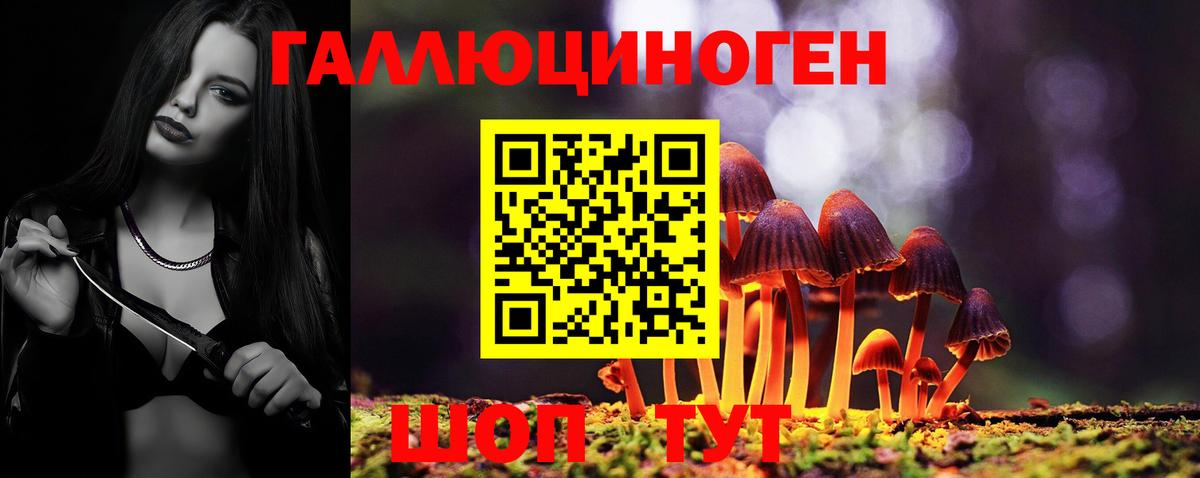 Галлюциногенные грибы Psilocybine cubensis  Вход с VPN  где найти   Саяногорск 
